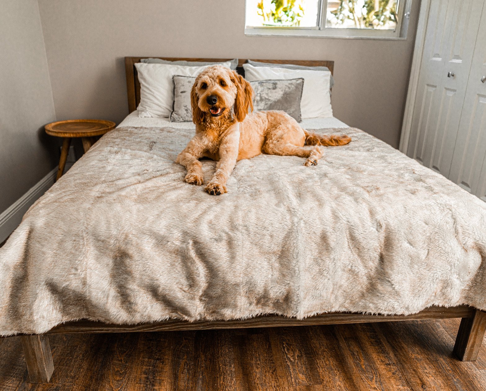 PupProtector™ Summer Short Fur Waterproof Throw Blanket - White with Brown Accents Large (80"L X 62"W) Dog Blanket Paw