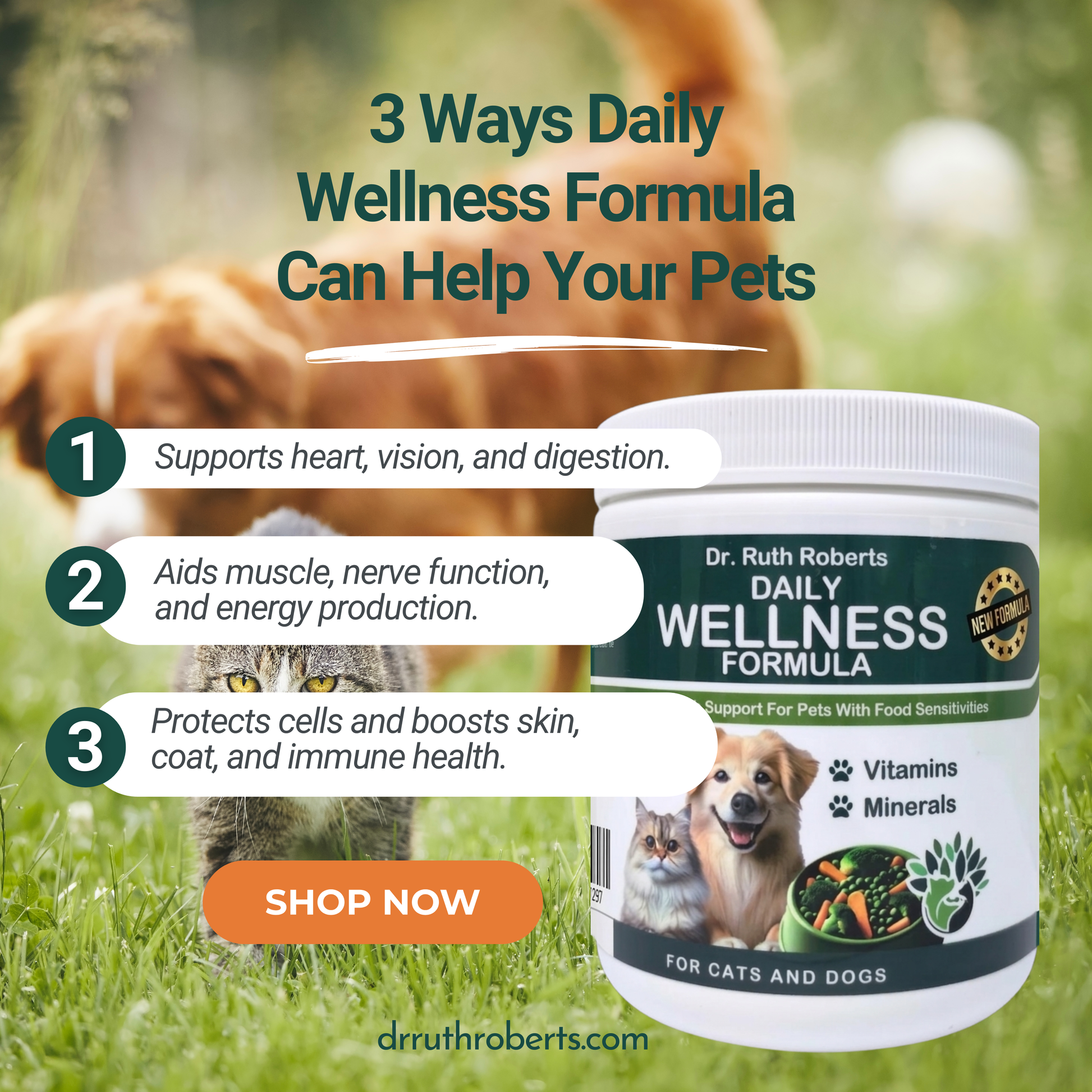 PRE-ORDER Daily Wellness Formula — Glandular-Free Multivitamin for Dogs & Cats with Beef, Pork, or Organ Sensitivities Vitamins & Supplements Dr. Ruth Roberts