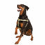 Tan Freedom No-Pull Dog Harness Freedom Harness 2 Hounds Design