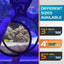 DeepSee Viewer Black - Orange Filter Aquarium Viewer Flipper Aquarium Products