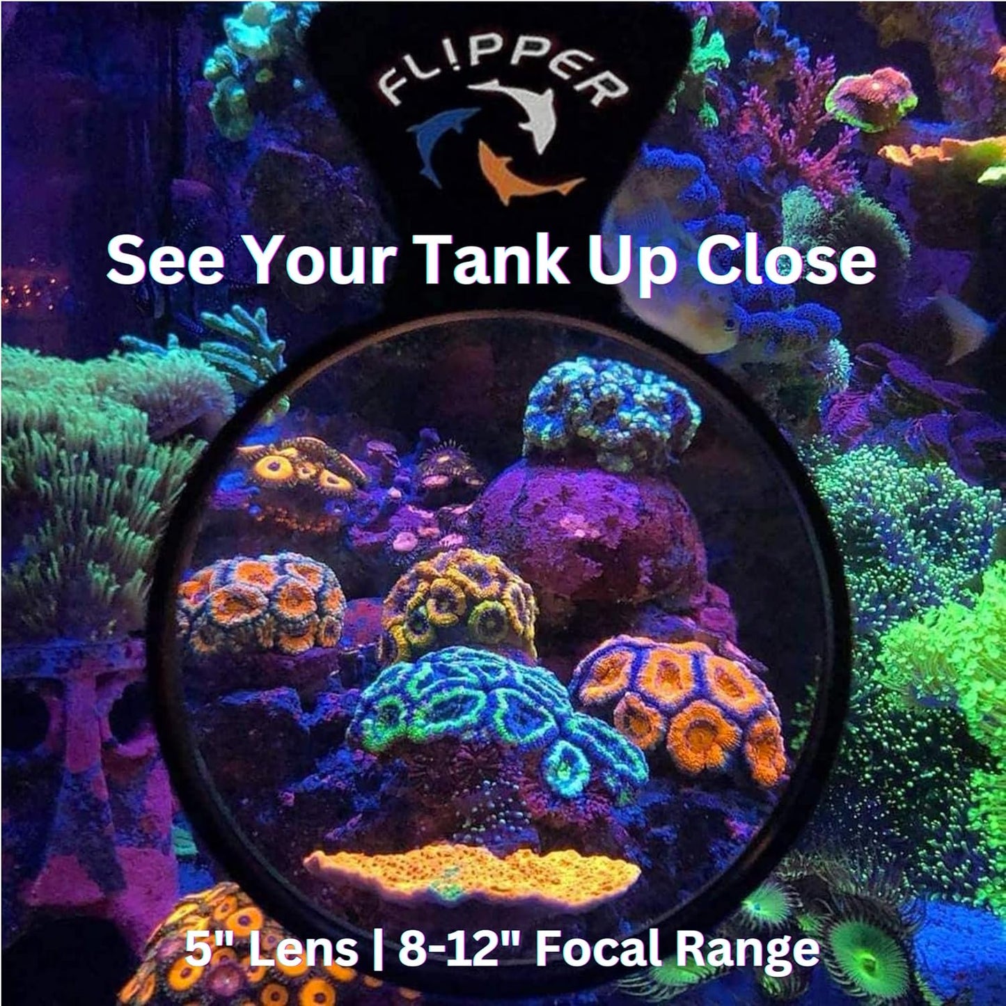 DeepSee Viewer Black Max 5" - Orange Filter Aquarium Viewer Flipper Aquarium Products