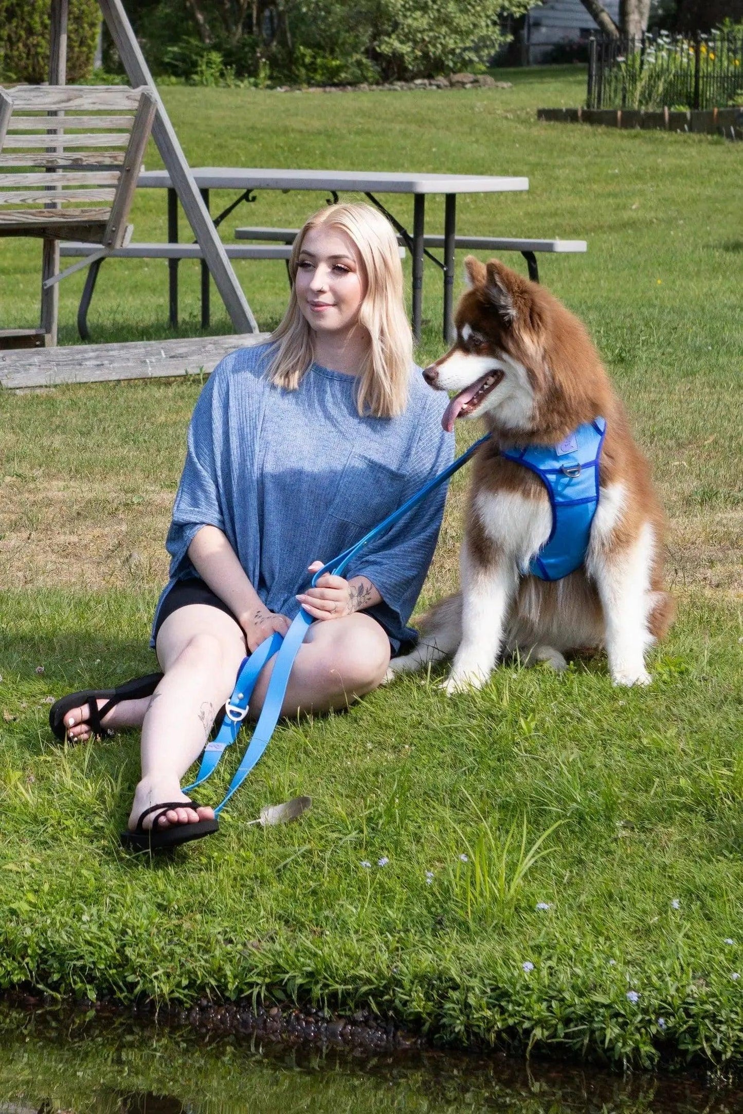 Dockside Adventures Ultimate Harness Harness Aria the Fox