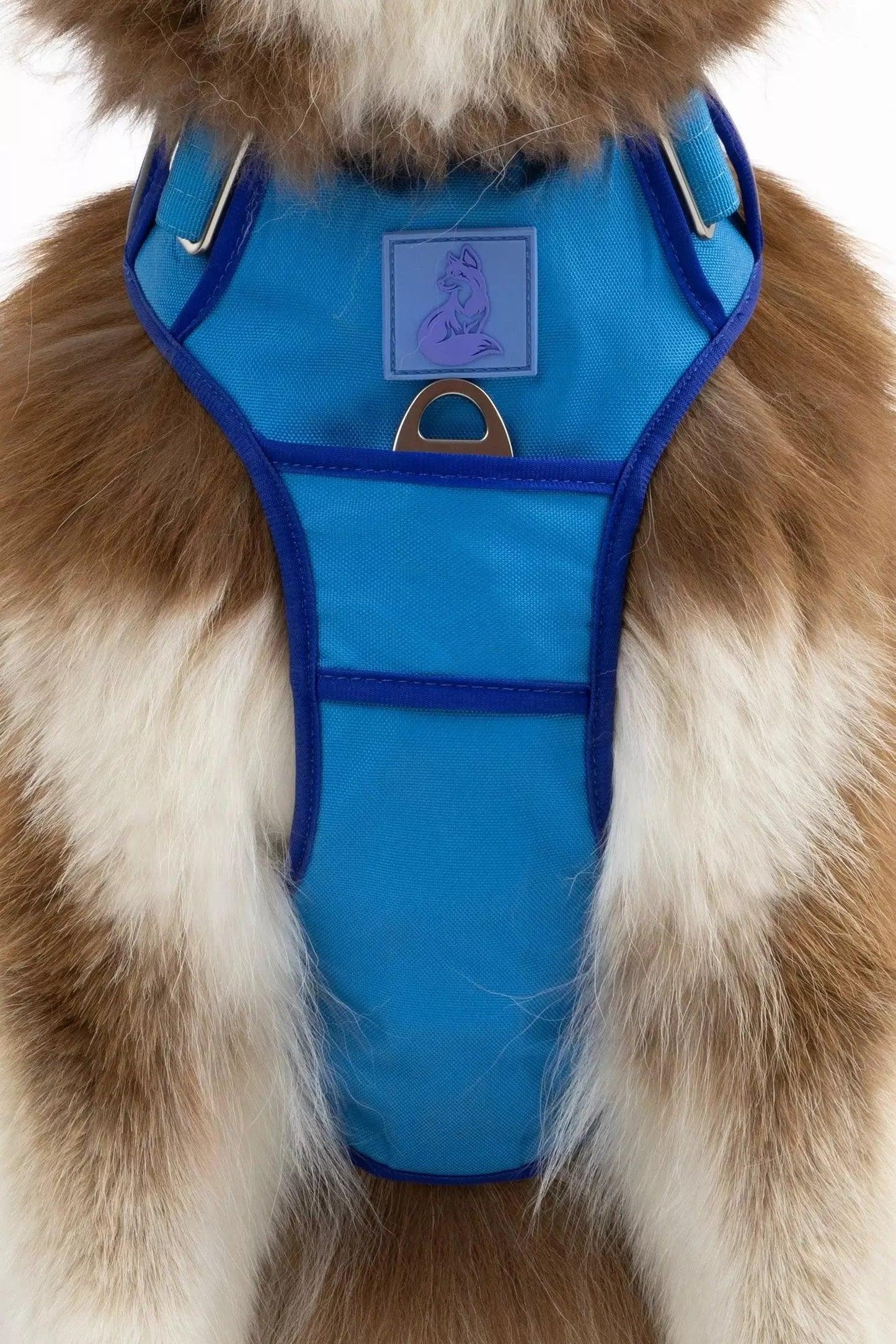Dockside Adventures Ultimate Harness Harness Aria the Fox