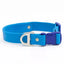 Dockside Adventures Waterproof Dog Collar Candy Blue Ultramarine Collar Aria the Fox