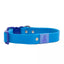 Dockside Adventures Waterproof Dog Collar Collar Aria the Fox