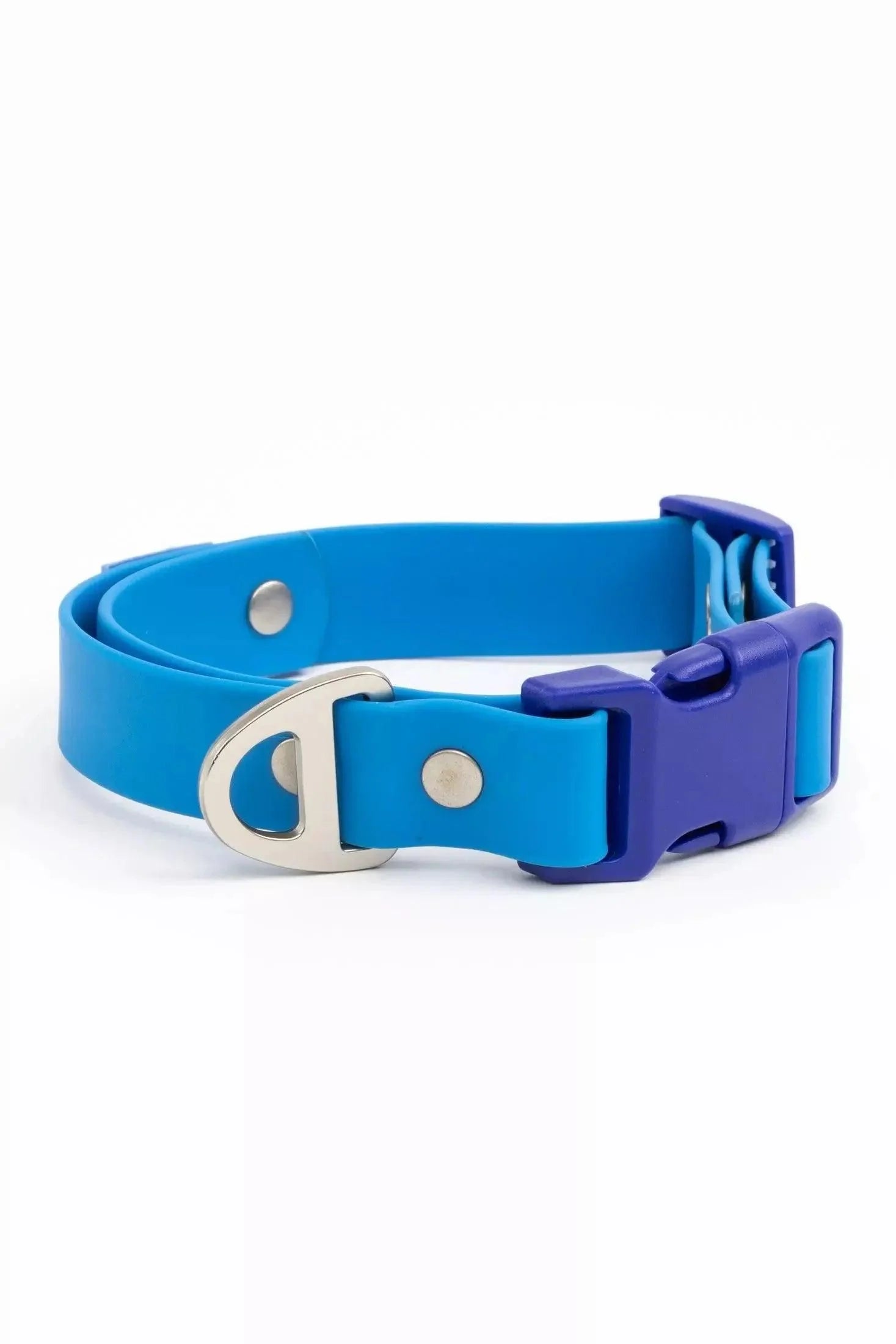 Dockside Adventures Waterproof Dog Collar Candy Blue Ultramarine Collar Aria the Fox