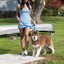Dockside Adventures Waterproof Dog Leash Leash Aria the Fox