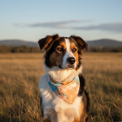 Custom Tie Dye Dog Bandana Dog Bandana Happy Tails Outfitters
