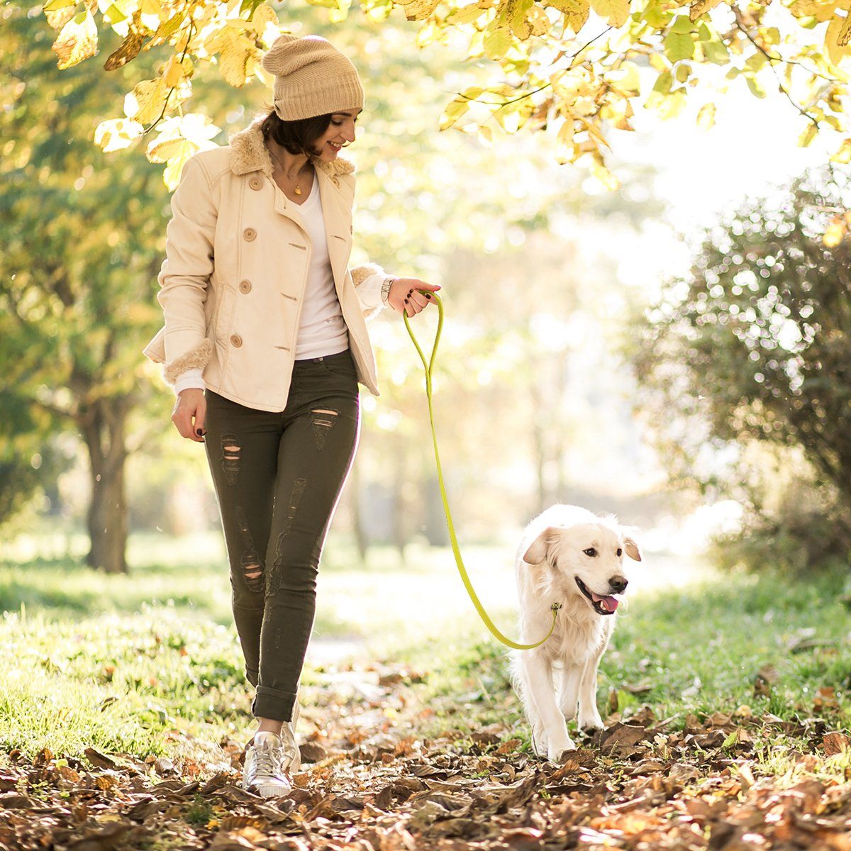 Biothane Slip Lead for Dogs, 5FT and 7FT Dog Leashes Dogline