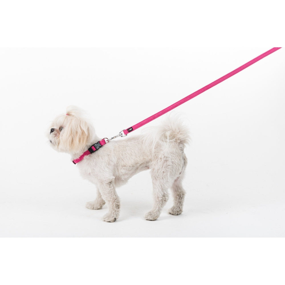 Comfort Microfiber Flat Dog Collar Dog Collars Dogline