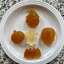 Dogtastic Jelly shots Silicone Molds Silicone Mold Dogtastic