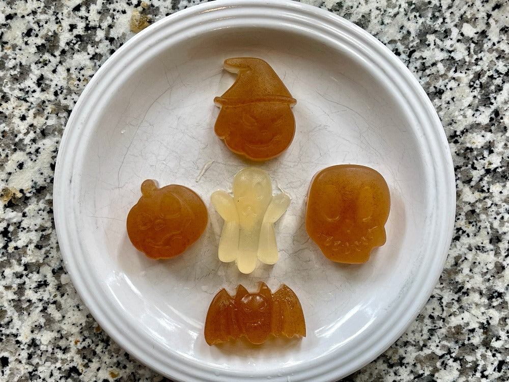 Dogtastic Jelly shots Silicone Molds Silicone Mold Dogtastic