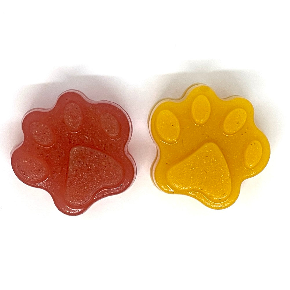 Dogtastic Jelly shots Silicone Molds Silicone Mold Dogtastic
