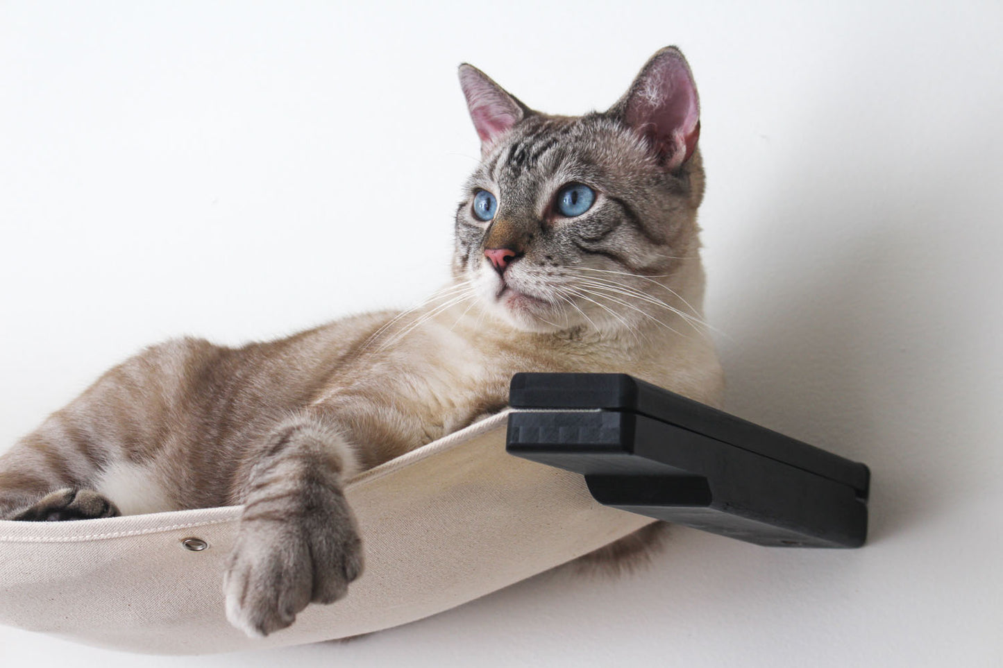 The Double Decker - Cat Hanging Bed Set Cat Hammock Catastrophic Creations