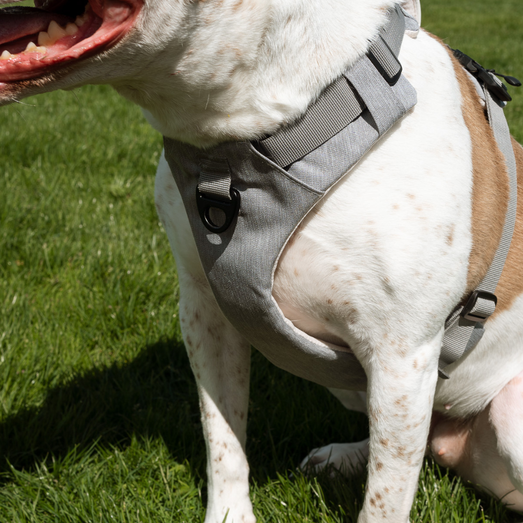 Magnetic Dog Harness with Handle - Easy On, No-Pull Design Pet Harness Up Dog Shop