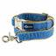 Dusty Blue Velvet Essential Buckle Martingale Dog Collar 2 Hounds Design