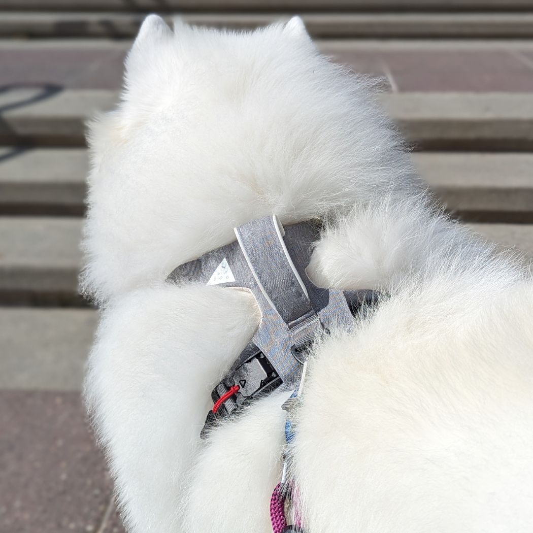 Magnetic Dog Harness with Handle - Easy On, No-Pull Design Pet Harness Up Dog Shop