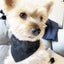 'Andy' Reversible Pet Bandana BANDANA BESPOKE PAWS