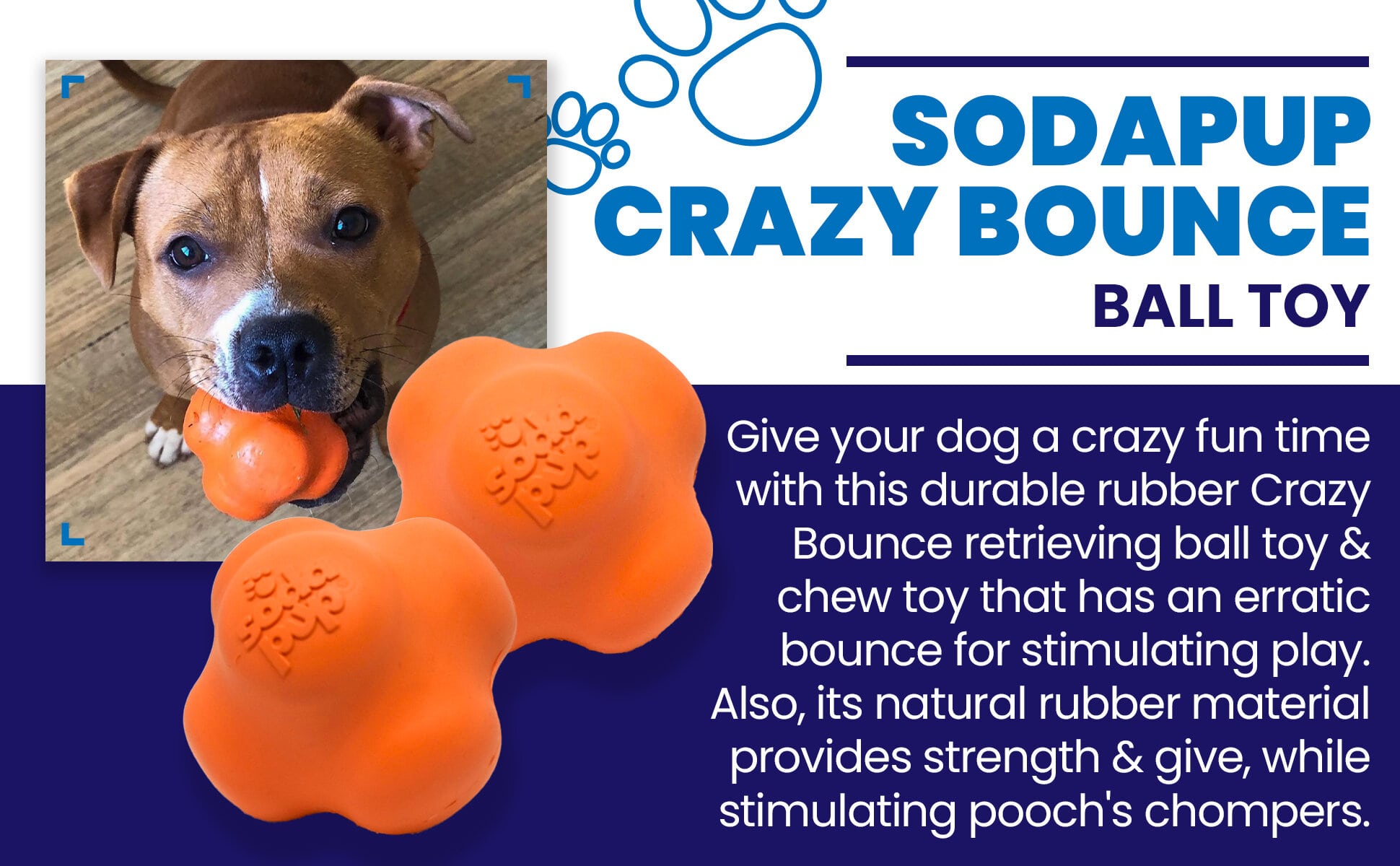 Crazy Bounce Rubber Dog Chew Toy for Power Chewers | Retrieving Ball | USA Made Rubber Dog Toys SodaPup/True Dogs, LLC