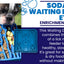 Waiting Dogs eTray - Shallow Slow Feeder Bowl for Enrichment | USA Made ETRAY SodaPup/True Dogs, LLC