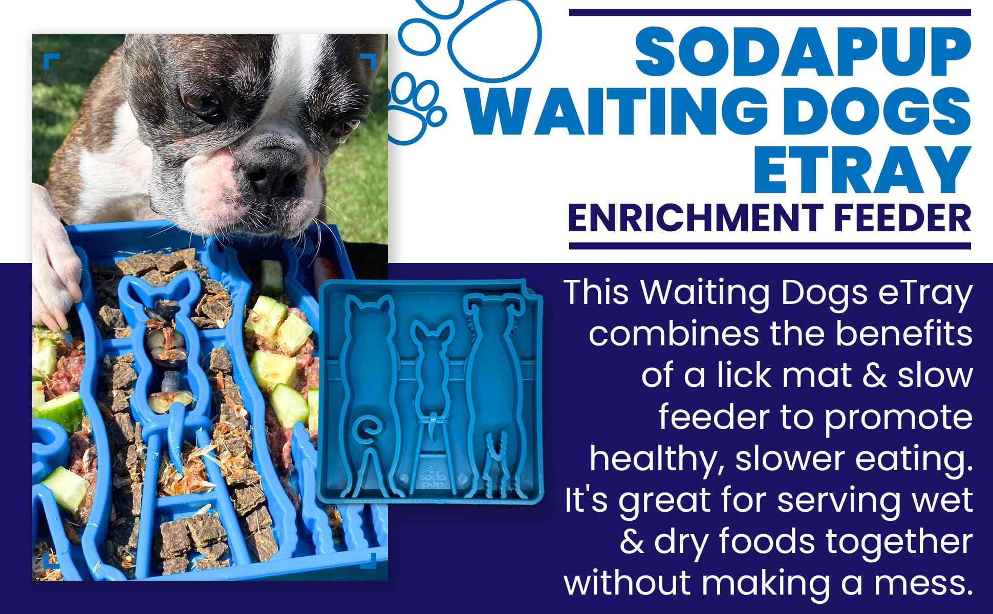 Waiting Dogs eTray - Shallow Slow Feeder Bowl for Enrichment | USA Made ETRAY SodaPup/True Dogs, LLC