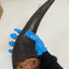Bison Horn (Grass Fed & Finished) Naked Beasts