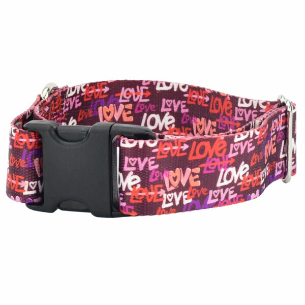 Love Graffiti Red Dog Collar – EarthStyle 1.5 inch 2 Hounds Design