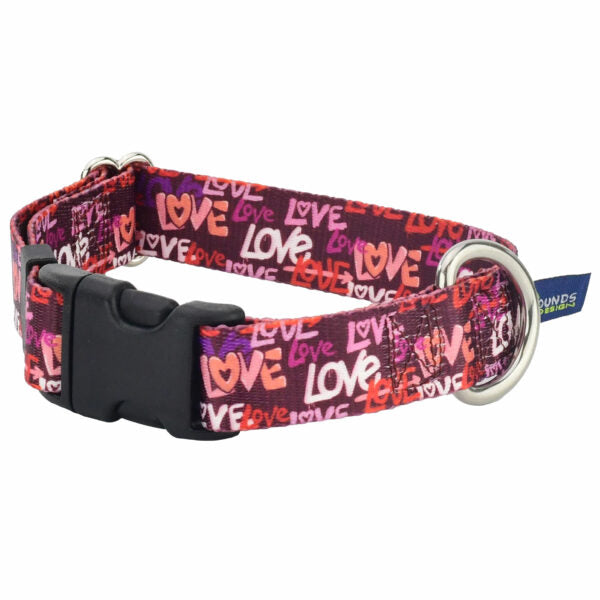 Love Graffiti Red Dog Collar – EarthStyle 1 inch 2 Hounds Design