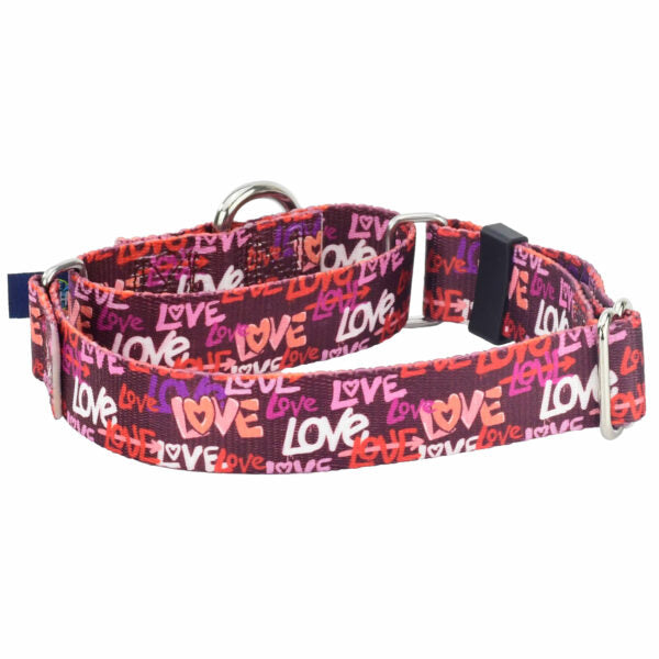 Love Graffiti Red Martingale Dog Collar – EarthStyle 1 inch 2 Hounds Design