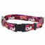 Love Graffiti Red Dog Collar – EarthStyle 5 8 inch 2 Hounds Design