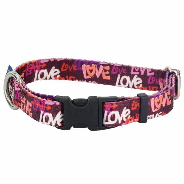 Love Graffiti Red Dog Collar – EarthStyle 5 8 inch 2 Hounds Design