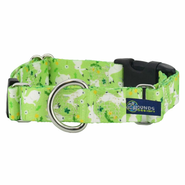 Lucky Dog Buckle Martingale Dog Collar – EarthStyle 1 inch 2 Hounds Design