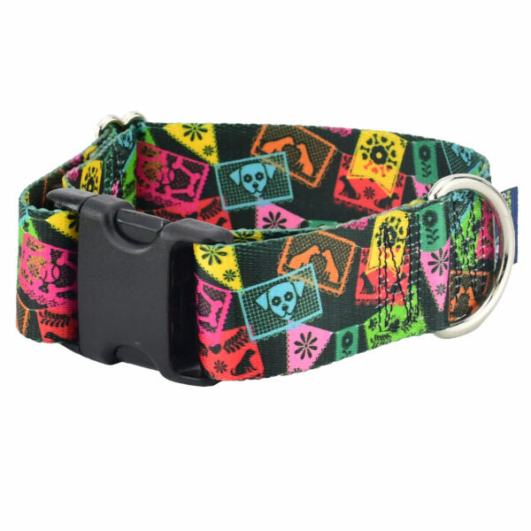 Paper Flags Dog Collar – EarthStyle 1.5 inch 2 Hounds Design