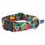 Paper Flags Dog Collar – EarthStyle 1 inch 2 Hounds Design