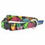 Paper Flags Dog Collar – EarthStyle 5 8 inch 2 Hounds Design