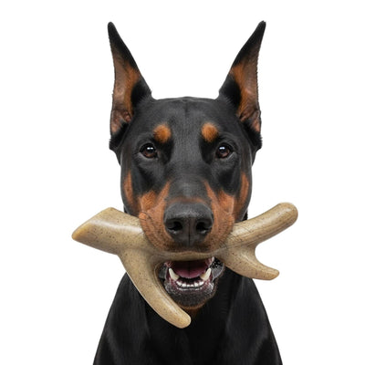 Ever Antler Nylon Chew Bone | Elk Antler Shaped Dog Toy for Aggressive Chewers | SodaPup Nylon Dog Toys SodaPup/True Dogs, LLC