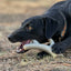 Ever Antler Nylon Chew Bone | Elk Antler Shaped Dog Toy for Aggressive Chewers | SodaPup Nylon Dog Toys SodaPup/True Dogs, LLC