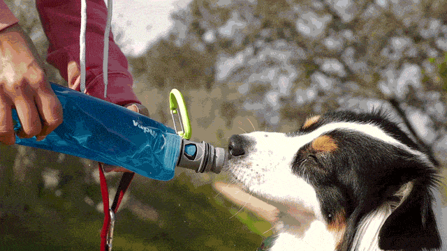Vapur® EZ Lick™ Portable Dog Water Bottle Accessories K9 Sport Sack