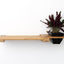Cat Plant Stand for Wall Natural Bamboo 18" Solid Shelf Cat shelves/bed Catastrophic Creations