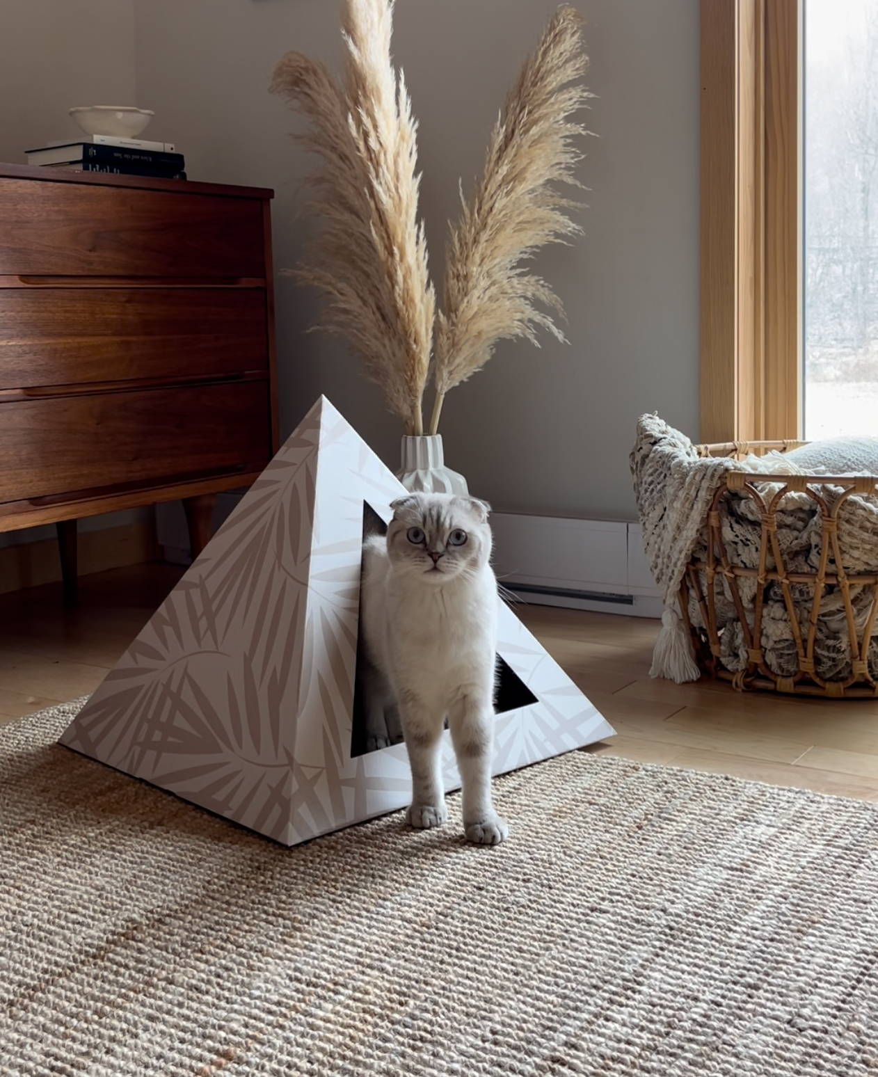 'Neutral Palm' Cardboard Cat Pyramid KittyKardboard