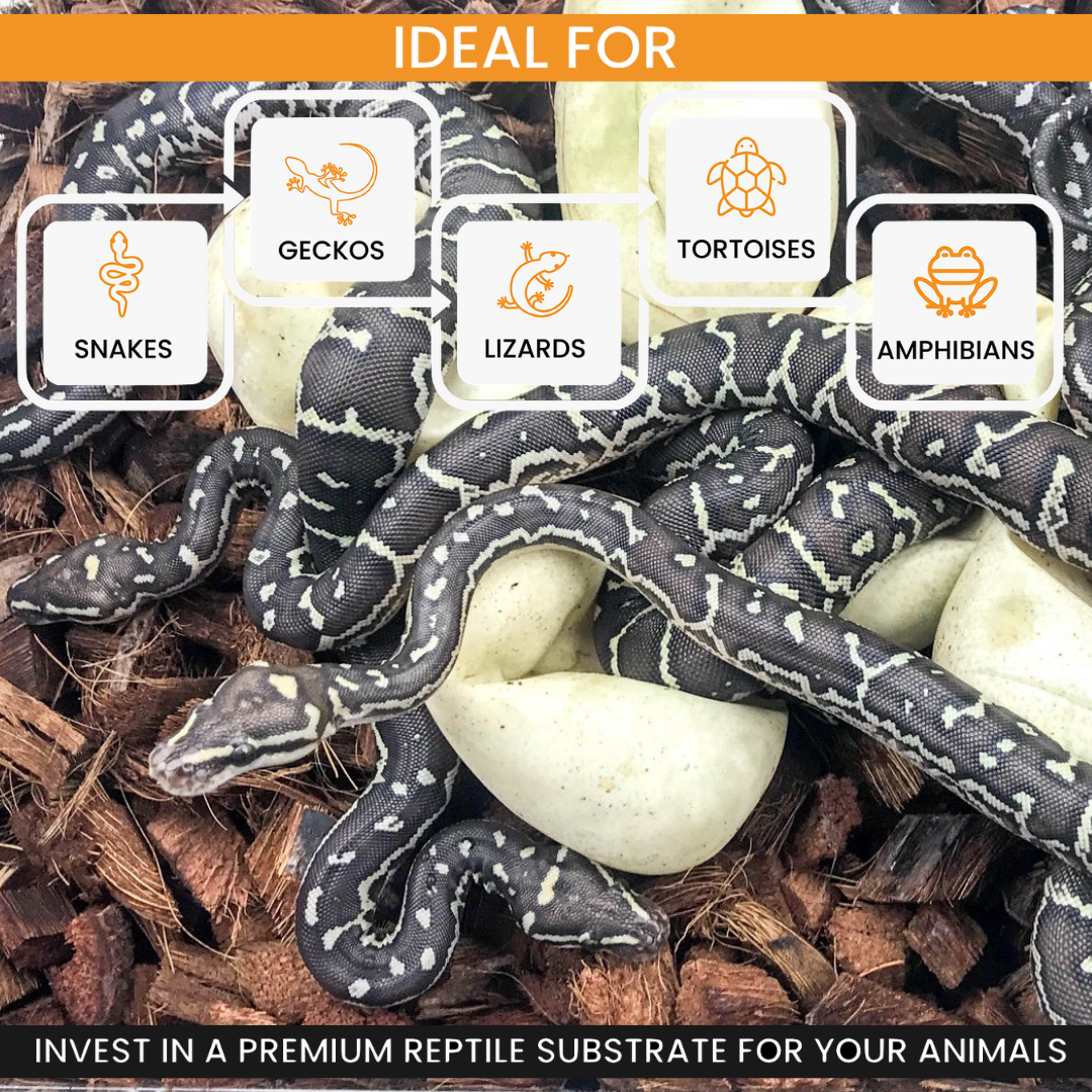 ReptiChip Coarse Coconut Chip Mix; Ready to Use Substrate ReptiChip LLC