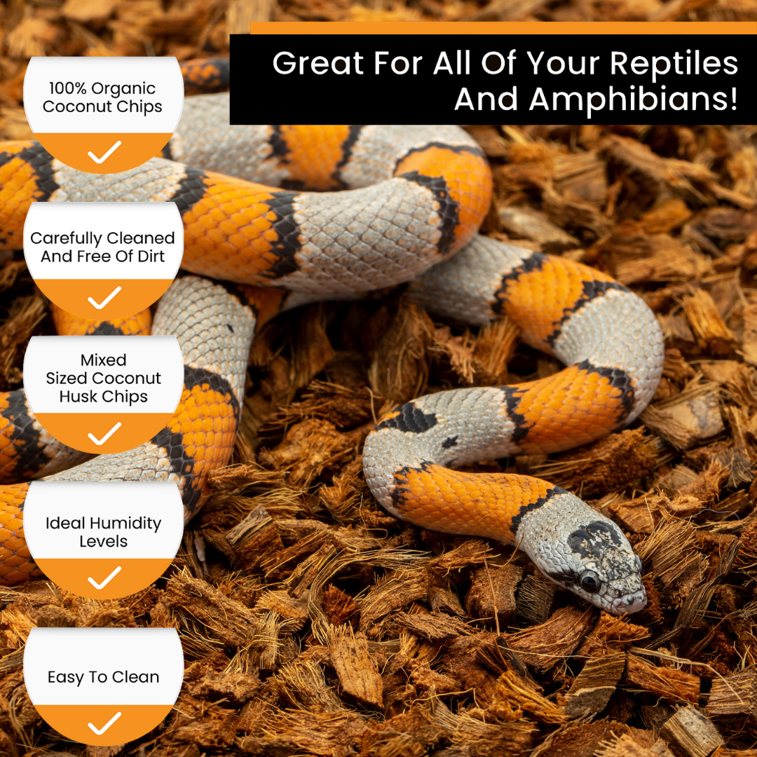 BabiChip Premium Small Sized Coconut Chips; Ready to Use Substrate ReptiChip LLC