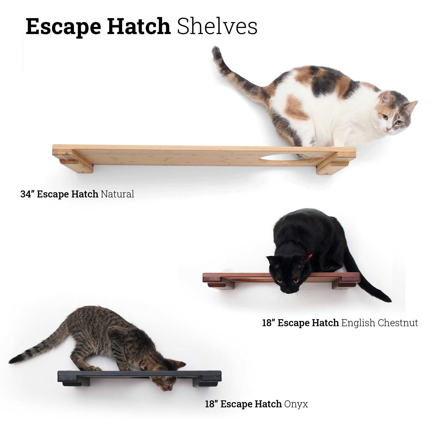 Wall Mounted Cat Shelf Cat shelves/bed Catastrophic Creations