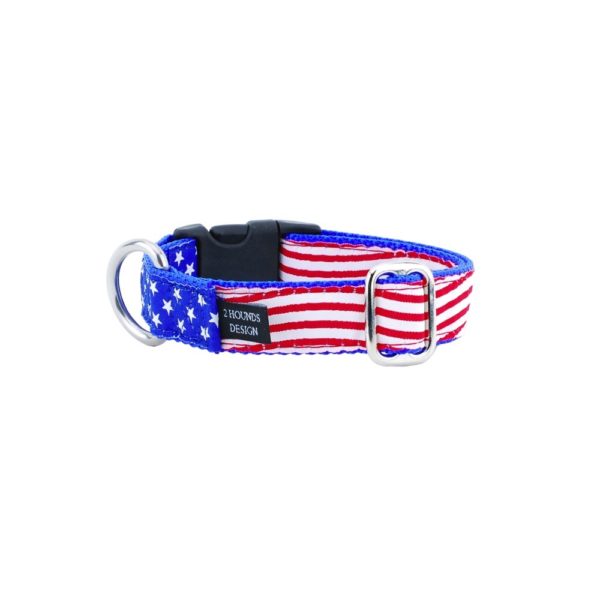 1″ Stars and Stripes Essential Buckle Martingale Dog Collar 2 Hounds Design