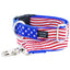 1″ Stars and Stripes Essential Buckle Martingale Dog Collar 2 Hounds Design