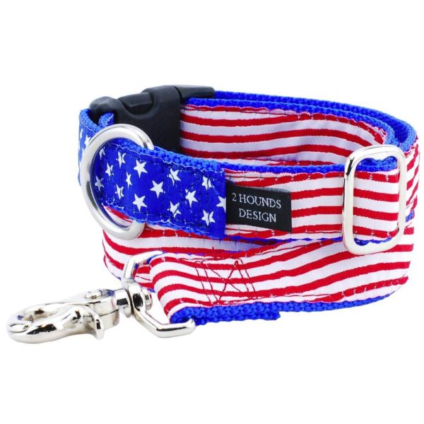 1″ Stars and Stripes Essential Martingale Dog Collar 2 Hounds Design