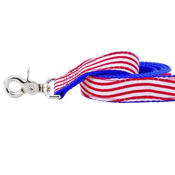 1″ Stars and Stripes Ribbon Dog Leash 2 Hounds Design