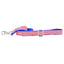 1″ Stars and Stripes Ribbon Dog Leash 2 Hounds Design