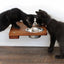 Wall Mounted Cat Feeding Shelf Standard English Chestnut Bamboo Standalone Shelf Cat shelves/bed Catastrophic Creations