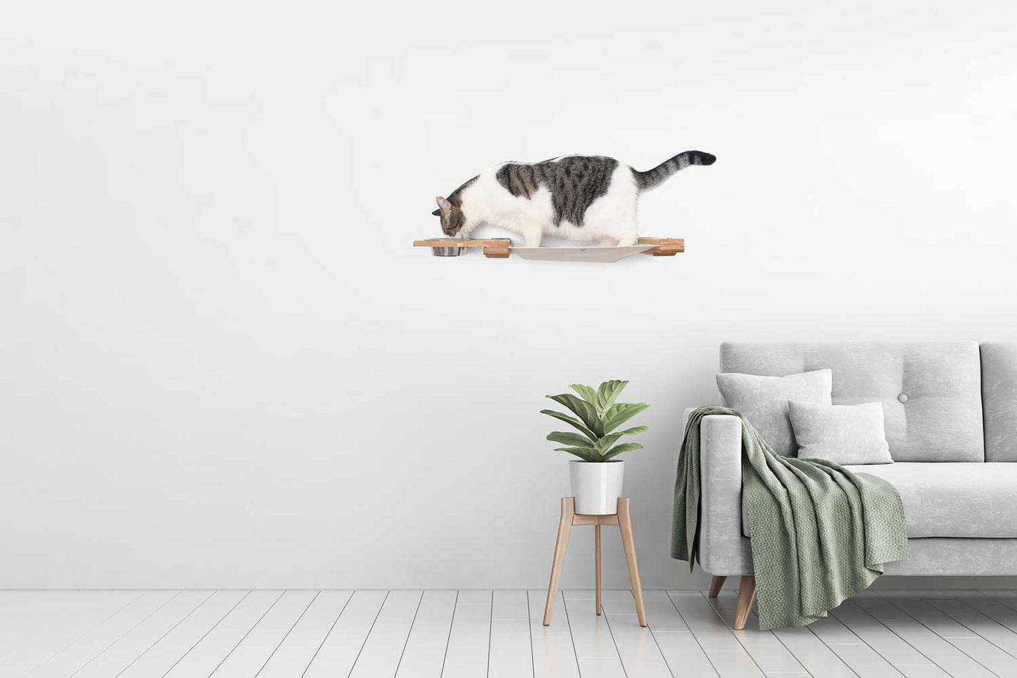 Dog Proof Cat Feeder - Wall-Mounted - Raised Cat Hammock Catastrophic Creations